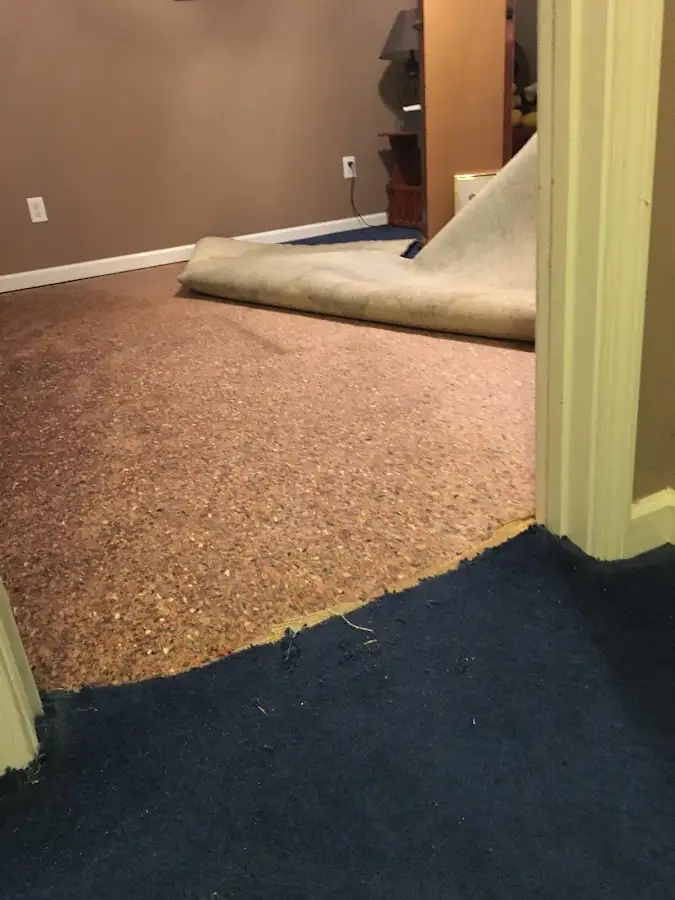 Carpet pad removal revealing water damage during Water Mitigation Services in Montrose