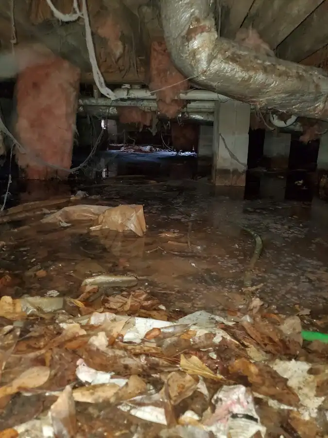 Crawl space flood assessment for Leak Detection & Repair in Montrose