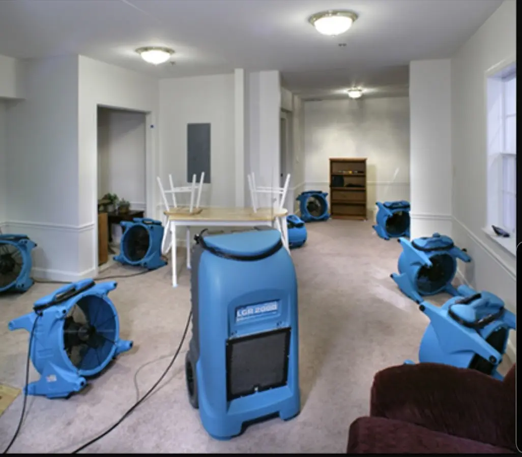 Air movers and dehumidifier setup for Water Extraction & Removal in Montrose