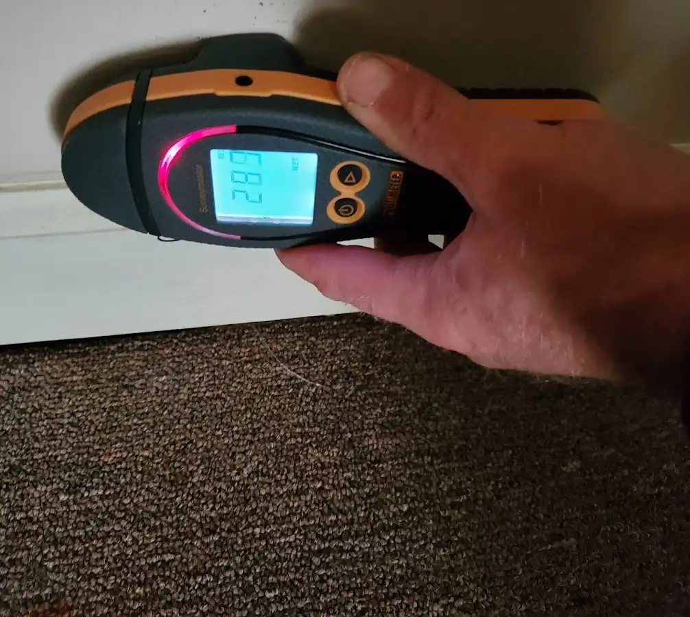 Moisture detection at baseboard during Mold Inspection & Testing in Montrose